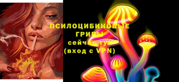 дживик Алексин