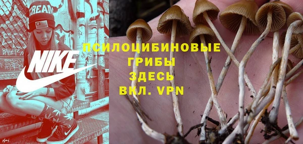 дживик Алексин