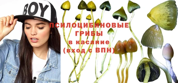 крисы Абдулино