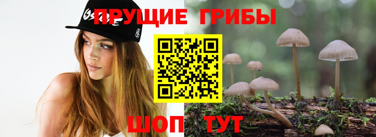 Галлюциногенные грибы Magic Shrooms  Псилоцибиновые грибы прущие грибы  Учалы  Вход с VPN 